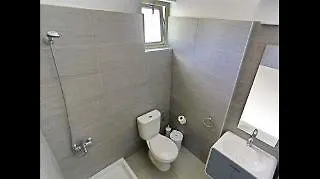 Vergina Sun 팔리라키