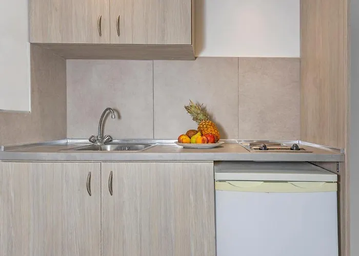 公寓 Vergina Sun *